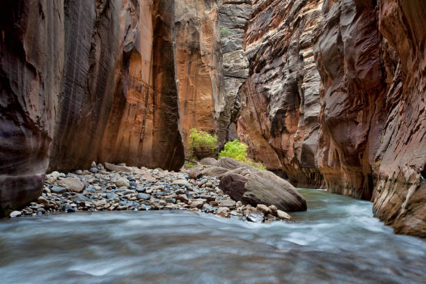 istock Section of the Virgin River Narrows 1302014282