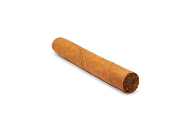 sigaro cubano originale isolato su sfondo bianco. primo piano - rolling cigarette risk luxury foto e immagini stock