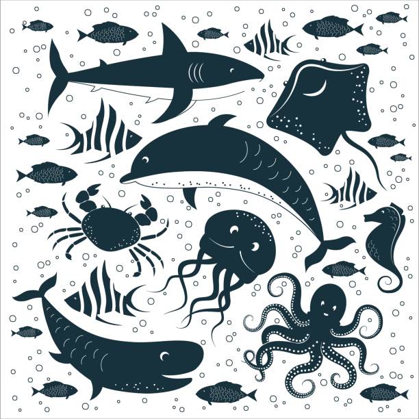 물고기, 문어, 상어, 고래, 돌고래, 오징어, 해마, 가오리, 게 및 물 거품 : 평평한 손으로 그린 바다 생물 요소 세트, 수중 동물 실루엣. 벡터 일러스트레이션 - computer icon symbol sea life prepared crab stock illustrations