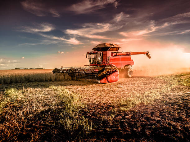 agrobiznes: zbiory soi, rolnictwo - rolnicze harverster machine - agribusiness: zbiory soi, maszyna do kombajnów rolniczych. - kombajn zdjęcia i obrazy z banku zdjęć