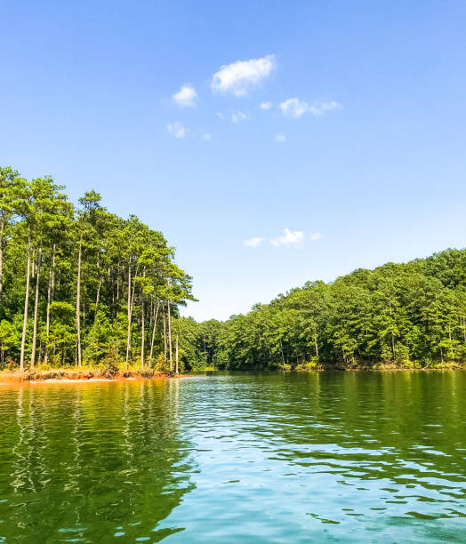 istock Lakes of Georgia 1302029706