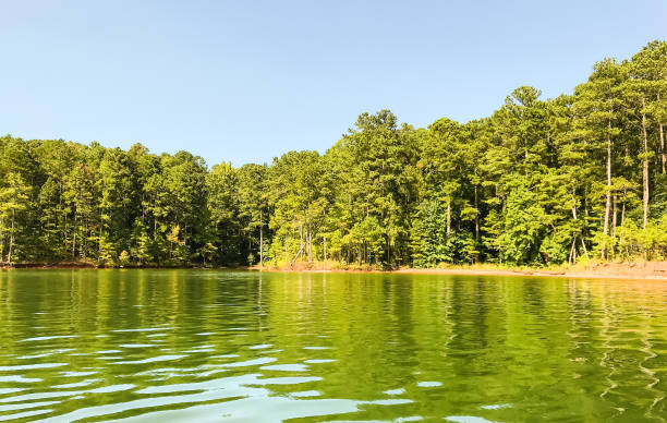 istock Lakes of Georgia 1302029707