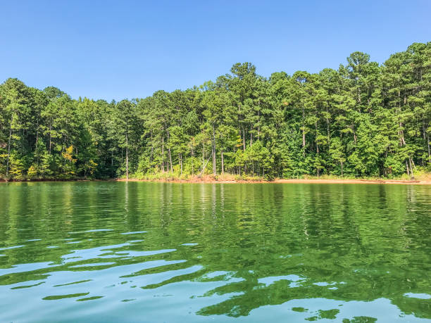 istock Lakes of Georgia 1302029710
