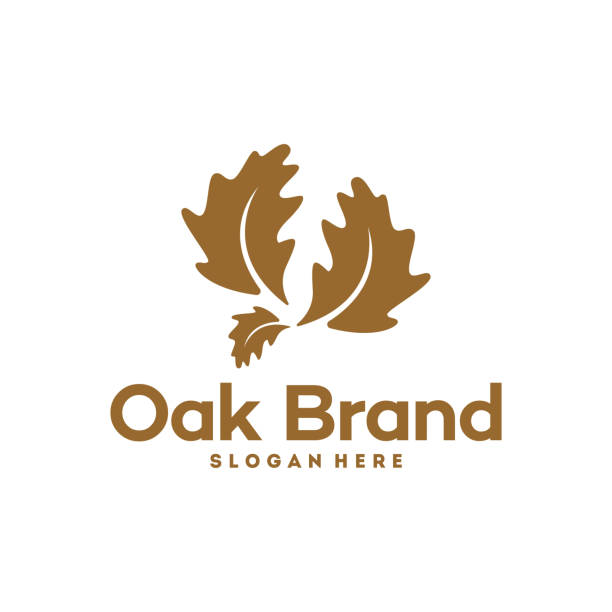 오크 브랜드 로고 디자인, 간단한 오크 로고 템플릿 - oak leaf stock illustrations