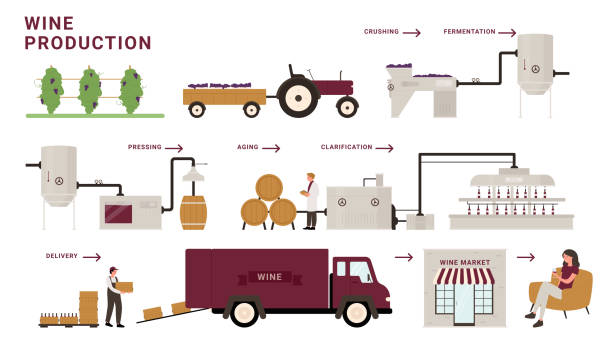 ワイン生産プロセスステージ、インフォグラフィック漫画現代ワイナリー工場加工ライン - winemaking点のイラスト素材／クリップアート素材／マンガ素材／アイコン素材