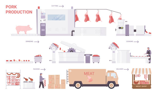 prozessstufen der schweinefleischherstellung, fabrikverarbeitungslinie mit industrieanlagen - slaughterhouse stock-grafiken, -clipart, -cartoons und -symbole