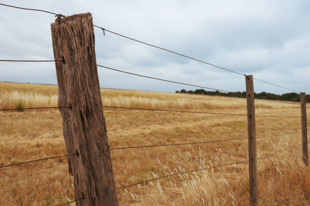 istock post and wire fence in field 1302038469
