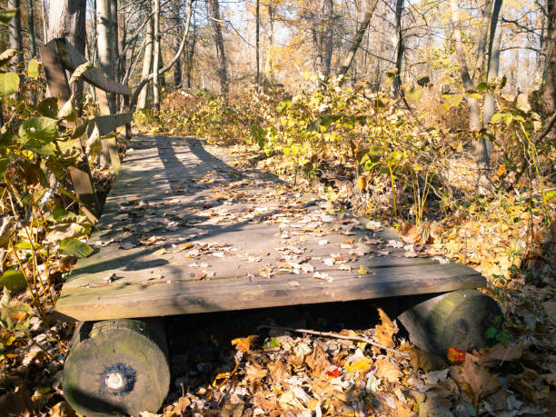 istock Changing Colors of Autumn 1302038532