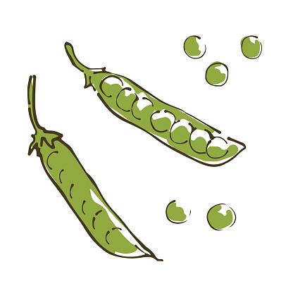 Pea Pod Clip Art Free Download Pea Pod Clip Art Free Download