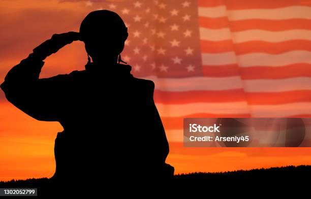 Greeting Card For Veterans Day Memorial Day Independence Day Usa Celebration Concept Patriotism Protection Remember Honor Stock Photo - Download Image Now