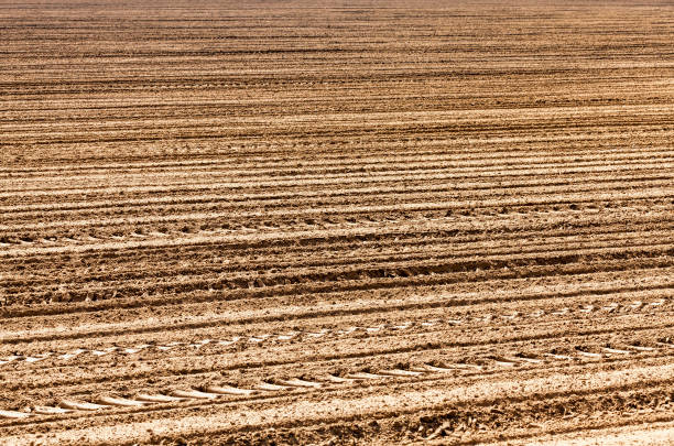 istock ploughed soil on which cereals are grown 1302053568
