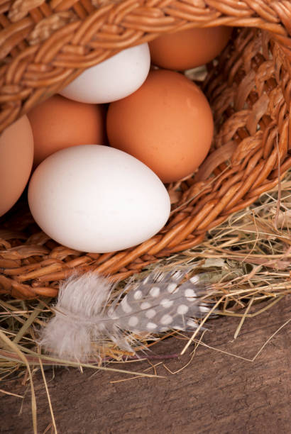 istock Chicken eggs in basket on wooden background 1302053641
