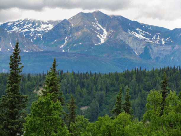 South View Mount McKinley Range Denali National Park
