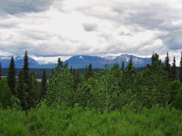 istock South View Mount McKinley Range Denali National Park 1302053767