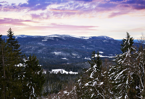 Winter landscape at sunrise. National Park Sumava. View from the Pancir mountain. Czech republic.