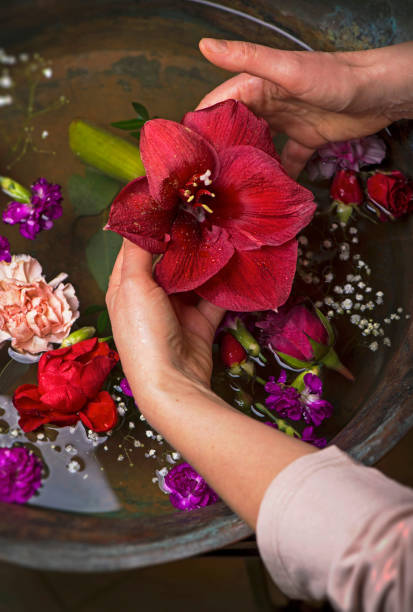 istock Various flowers on dark vintage background, big flower in hand 1302054607