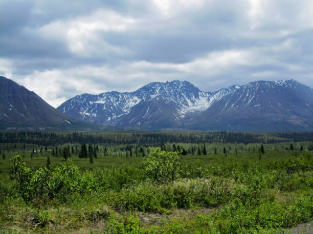 istock South View Mount McKinley Range Denali National Park 1302055677