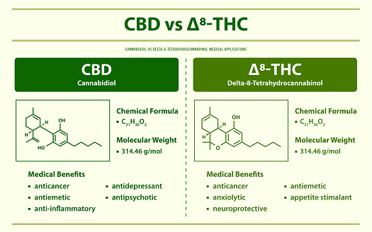 CBD vs 8-THC, Cannabidiol vs Delta 8 Tetrahydrocannabinol horizontal infographic illustration about cannabis as herbal alternative medicine and chemical therapy, healthcare and medical science vector.