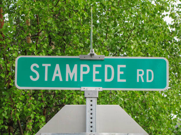 istock Stampede road sign 1302064444