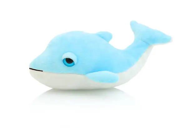 Dolphin plushie doll isolated on white background with shadow reflection. Plush stuffed puppet on white backdrop. Fluffy delphin toy for children. Cute furry animal plaything for kids. Blue fish.