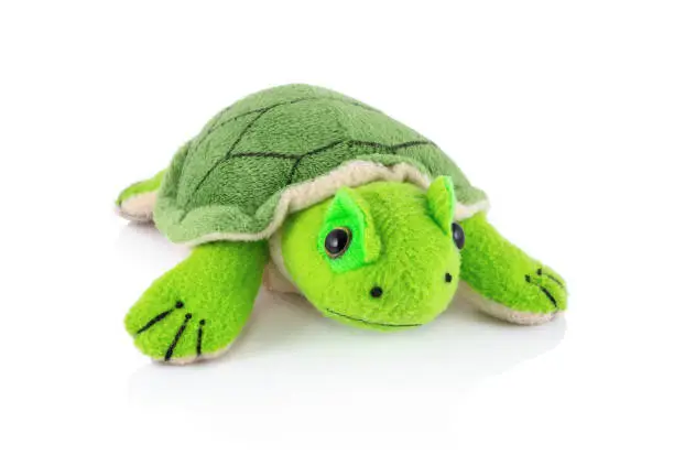 Turtle plushie doll isolated on white background with shadow reflection. Plush stuffed puppet on white backdrop. Fluffy turtle toy for children. Cute furry animal plaything for kids. Green reptile.