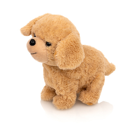 Dog plushie doll isolated on white background with shadow reflection. Playful bright brown puppy toy. Plush stuffed puppet on white backdrop. Fluffy toy for children. Cute furry plaything for kids.