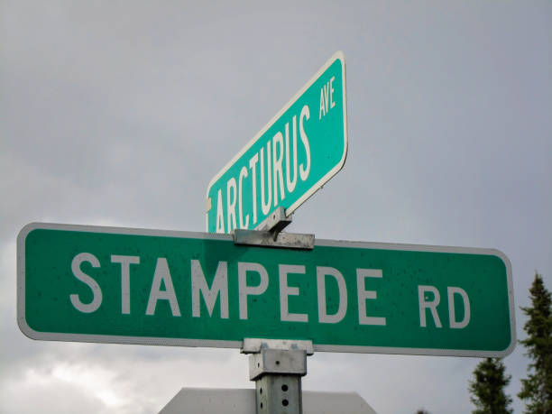 istock Stampede road sign 1302064533