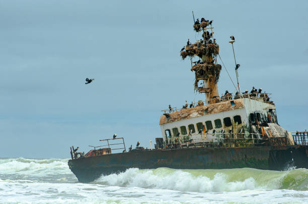 istock Zeila wreck and cormorants 1302066437