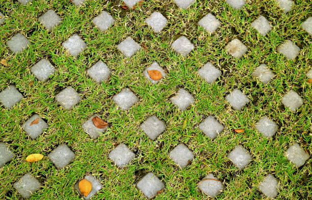 From above shot of paving stones crossing a green grassy lawn.