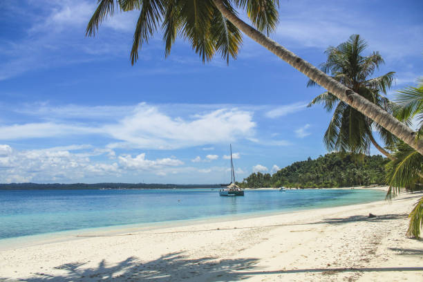 istock Tropical paradise landscape 1302067958