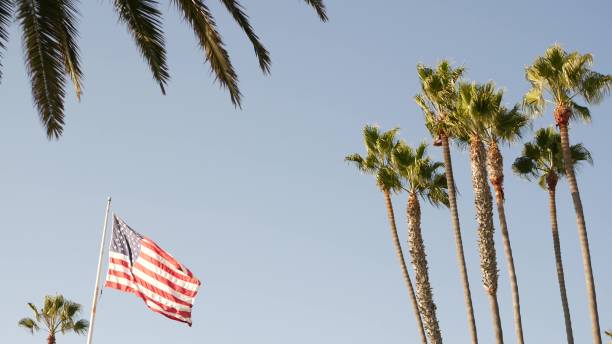 palmas y bandera americana, los angeles, california usa. estética veraniego de santa mónica y venice beach. estandarte, estrellas y rayas. atmósfera de patriotismo en hollywood. old glory - star spangled banner fotografías e imágenes de stock