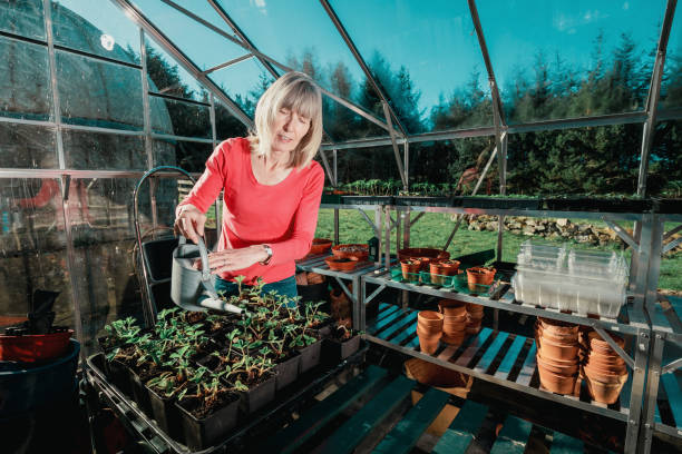 istock Woman in her greenhouse 1302068769