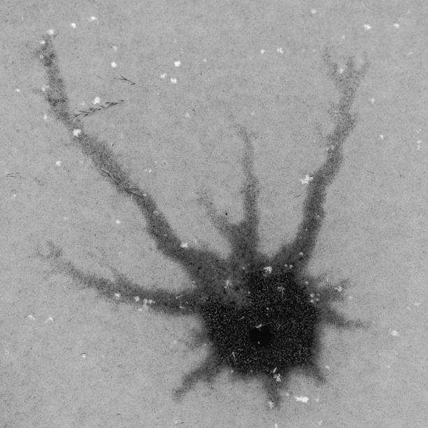 istock Pattern on ice of frozen lake 1302069462