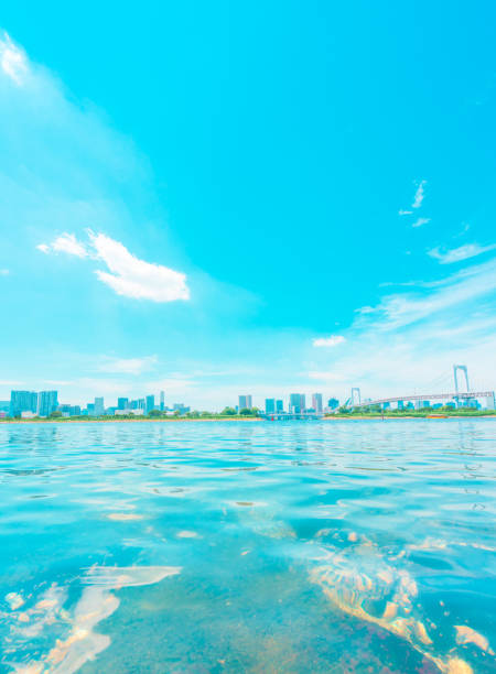 istock Tokyo city skyline , Japan 1302069860