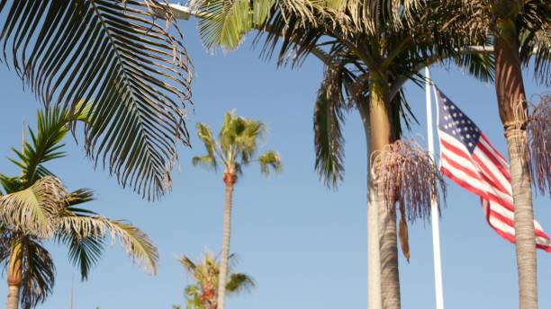 palms and american flag, los angeles, california usa. summertime aesthetic of santa monica and venice beach. star-spangled banner, stars and stripes. atmosphere of patriotism in hollywood. old glory - star spangled banner imagens e fotografias de stock