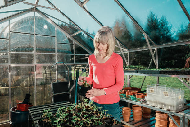 istock Woman in her greenhouse 1302070961