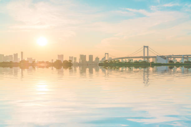 Tokyo city skyline , Japan