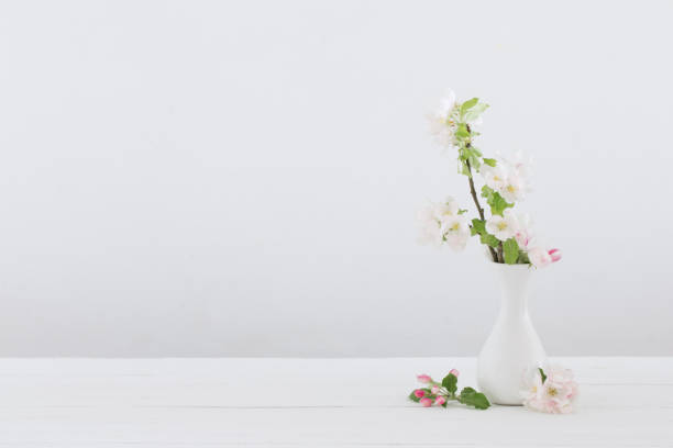 apple flowers in  vase in white interior
