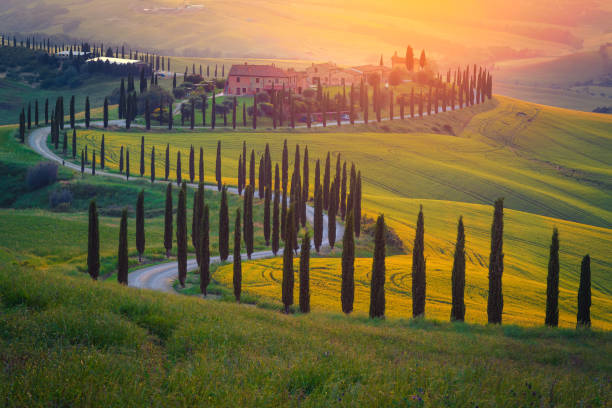 istock Buildings in the grain fields at sunset, Tuscany, Italy 1302079111