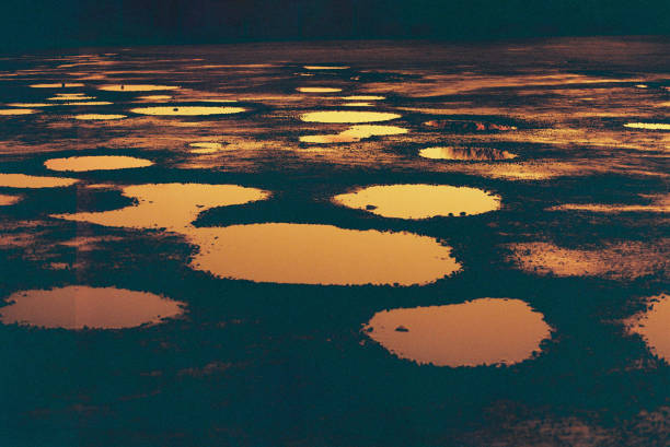 Glowing puddles of rainwater at sunset, reflecting the glow of the sun, 35mm lomography redscale film.
