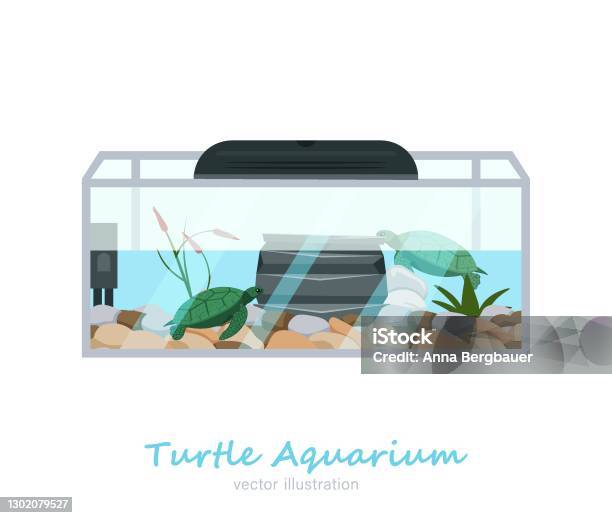 Ilustración de Hermosa Imagen Rectangular De La Pecera y más Vectores Libres de Derechos de Dermoquélidos - Dermoquélidos, Tanque de almacenamiento, Acuario - Equipo para animales domésticos - iStock Ilustración de Hermosa Imagen Rectangular De La Pecera y más Vectores Libres de Derechos de Dermoquélidos - Dermoquélidos, Tanque de almacenamiento, Acuario - Equipo para animales domésticos - iStock