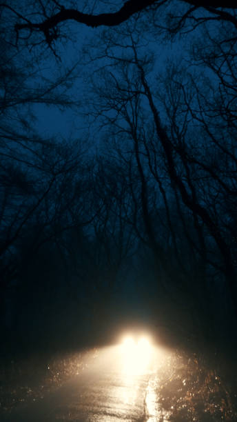 istock Car at night on country lane 1302080351
