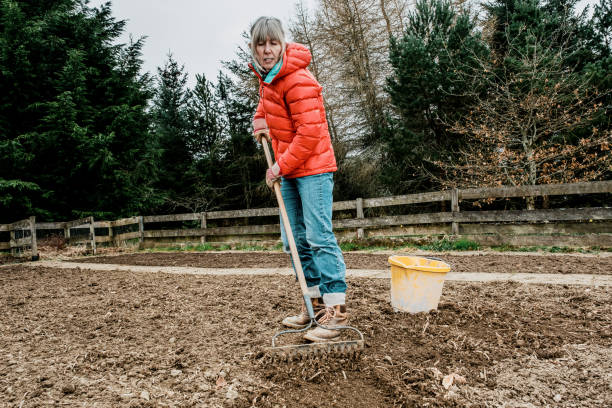 istock Woman preparing her vegetable garden 1302080479