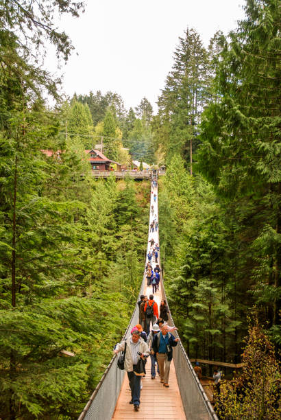 pessoas atravessando a ponte suspensa capilano em vancouver - vancouver suspension bridge bridge people - fotografias e filmes do acervo