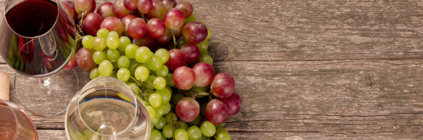 istock Variety of wine and snack set. 1302081302