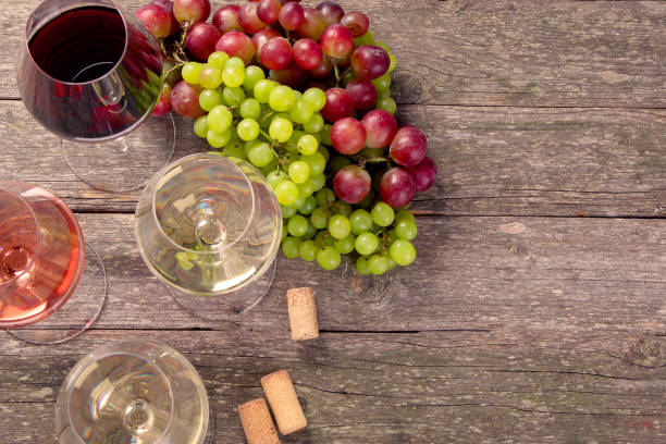 istock Variety of wine and snack set. 1302081483