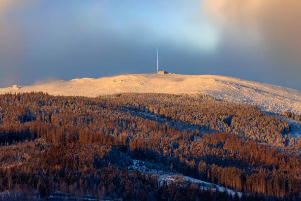 istock snowy landscape with trees and dwarf pine at sunset 1302082772