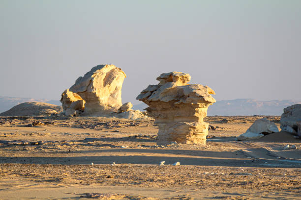 Bizarre sandstone formations in the white desert, early morning Bizarre limestone formations in the Lybian desert, white desert near Farafra, Egypt egypt horizon over land sun shadow stock pictures, royalty-free photos & images