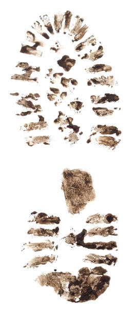 Dirty footprint from shoes. Dirty footprint from shoes isolated on a white background. mud stock pictures, royalty-free photos & images