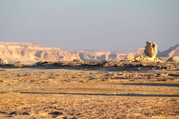 Bizarre sandstone formations in the white desert, early morning Bizarre limestone formations in the Lybian desert, white desert near Farafra, Egypt egypt horizon over land sun shadow stock pictures, royalty-free photos & images